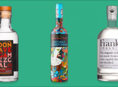 Mezcal, Zabawne Wino i https://e-gentleman.pl/wp-content/uploads/2021/12/frankly20organic20vodka.html na turkusowym tle