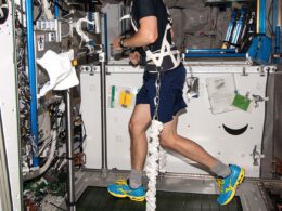 Astronauta NASA Reid Wiseman, wyposażony w uprząż bungee, ćwiczy na bieżni T2