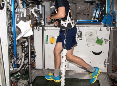 Astronauta NASA Reid Wiseman, wyposażony w uprząż bungee, ćwiczy na bieżni T2